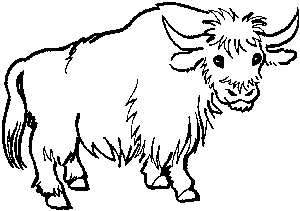 Y is for Yak Animal alphabet to teach your child to read