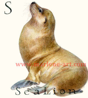 S - the 19th letter in the Animal Alphabet-is for Sea Lion