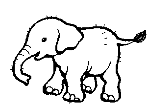 E is for elephant Animal alphabet to teach your child to read