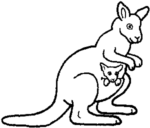 K is for kangaroo Animal alphabet to teach your child to read