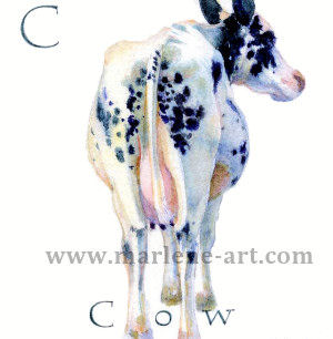 C- the third letter in the Animal Alphabet - is for Cow