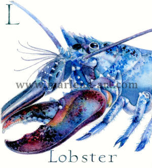 L - the 12th  letter in the Animal Alphabet-is for Lobster
